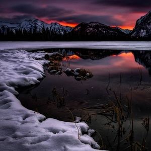 Meet your Posher, Victor